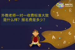 外教老師一對一收費(fèi)標(biāo)準(zhǔn)大致是什么樣？報(bào)名費(fèi)是多少？