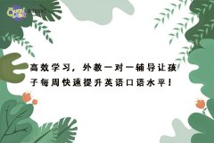 高效學(xué)習(xí)，外教一對一輔導(dǎo)讓孩子每周快速提升英語口語水平！